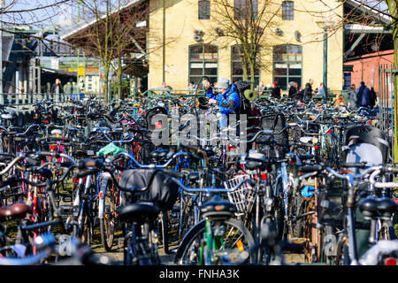 Lund, Svezia - 12 Marzo 2016: Persona con zaino in piedi tra lotti di biciclette al bike Parcheggio al di fuori della stazione st Foto Stock