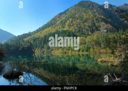 Freccia sul Lago di bambù, riflessi nell'acqua, Jiuzhaigou Parco Nazionale, nella provincia di Sichuan, in Cina, Patrimonio Mondiale dell Unesco Foto Stock