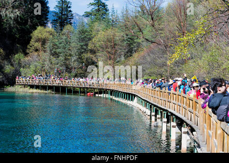 Piscina Five-Colored, folla su passerella, Jiuzhaigou Parco Nazionale, nella provincia di Sichuan, in Cina, Patrimonio Mondiale dell Unesco Foto Stock