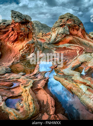 Tasca bianco con acqua di pioggia piscine. Vermilion Cliffs National Monument, Arizona