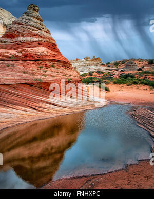Tasca bianco con acqua di pioggia piscine. Vermilion Cliffs National Monument, Arizona