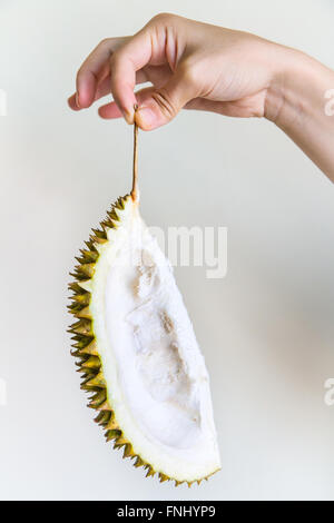 Un pezzo di buccia di durian detenute dallo stelo per mano di una giovane donna, isolato su bianco. Foto Stock