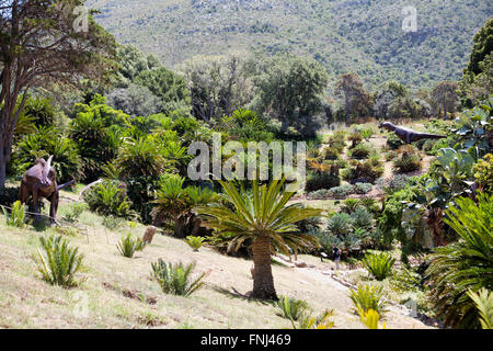 Zona di dinosauri a Kirstenbosch Giardini in Città del Capo - Sud Africa Foto Stock