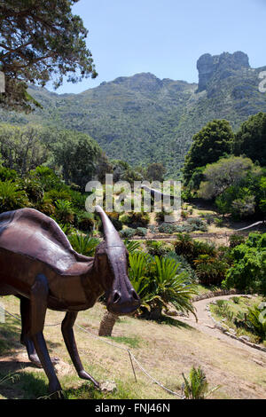 Zona di dinosauri a Kirstenbosch Giardini in Città del Capo - Sud Africa Foto Stock