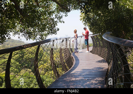 Passerella Boomslang baldacchino a Kirstenbosch National Botanical Garden in Città del Capo - Sud Africa Foto Stock