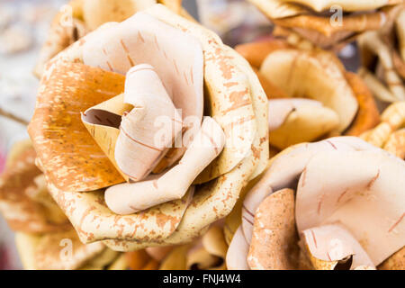 Fiori di rose di legno di corteccia di betulla Foto Stock