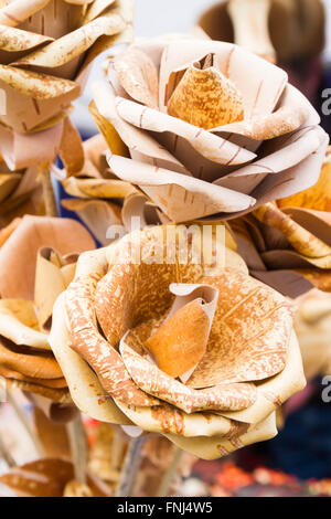 Fiori di rose di legno di corteccia di betulla Foto Stock