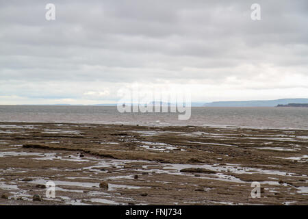 La Baia di Fundy ha le più grandi maree del mondo. Qui a testa Burntcoat il fondamento beach è scopato pulito da correnti di marea. Foto Stock