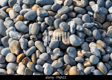 Raccolta di ciottoli sul lungomare di SHERINGHAM Foto Stock