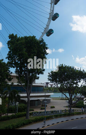 Singapore Flyer ruota panoramica Ferris Foto Stock