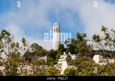 SAN FRANCISCO - Giugno 29 2012: Coit Tower è uno dei più famoso punto di riferimento di San Francisco Financial Center. Foto Stock