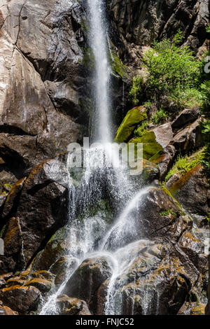 Grizzly Falls è probabilmente il più attraenti in cascata su un tipico banco nel Cedar Grove sezione di Sequoia National Fores Foto Stock