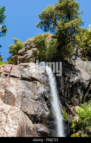 Grizzly Falls è probabilmente il più attraenti in cascata su un tipico banco nel Cedar Grove sezione di Sequoia National Fores Foto Stock