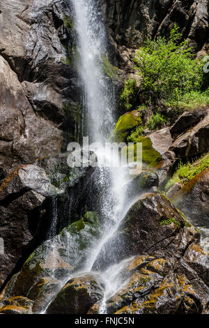 Grizzly Falls è probabilmente il più attraenti in cascata su un tipico banco nel Cedar Grove sezione di Sequoia National Fores Foto Stock