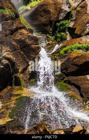 Grizzly Falls è probabilmente il più attraenti in cascata su un tipico banco nel Cedar Grove sezione di Sequoia National Fores Foto Stock