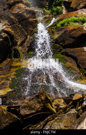 Grizzly Falls è probabilmente il più attraenti in cascata su un tipico banco nel Cedar Grove sezione di Sequoia National Fores Foto Stock