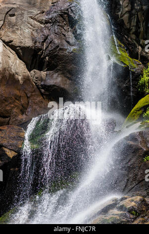 Grizzly Falls è probabilmente il più attraenti in cascata su un tipico banco nel Cedar Grove sezione di Sequoia National Fores Foto Stock