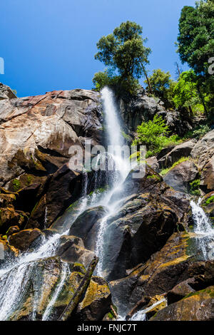 Grizzly Falls è probabilmente il più attraenti in cascata su un tipico banco nel Cedar Grove sezione di Sequoia National Fores Foto Stock