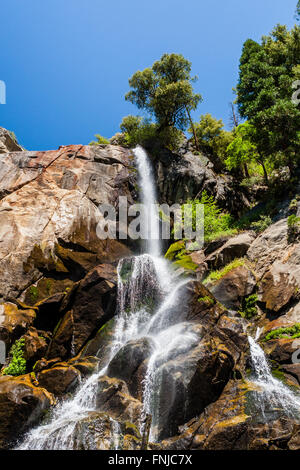 Grizzly Falls è probabilmente il più attraenti in cascata su un tipico banco nel Cedar Grove sezione di Sequoia National Fores Foto Stock