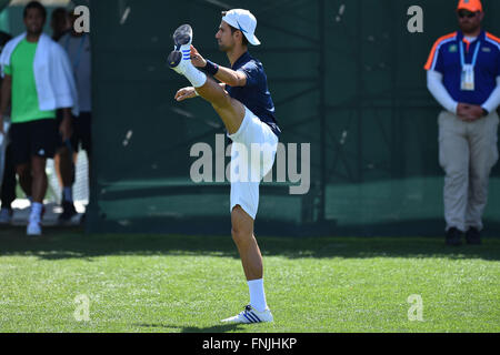 Indian Wells, California, Stati Uniti d'America. Xiv Mar, 2016. BNP Paribas Open ha suonato presso la Indian Wells Tennis giardini. Novak Djokovic (Ser) si allenta fino © Azione Sport Plus/Alamy Live News Foto Stock