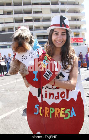 Tenerife, Spagna. 13 Mar, 2016. Un amante degli animali si unisce al Carnevale Internazionale di Los Cristianos con pet costume contest . Dodici candidati hanno superato sul palco principale delle vacanze. Sebastian Yorkshire accompagnato da Norely con la sorpresa fantasy ha vinto il primo premio. Il secondo premio è andato a il Chihuahua Golia e il suo Unicorn Carnavalero che hanno marciato con Carla e Laura. E terza per Willy e Mila fratelli, due shih tzu che era venuto da Star Wars accompagnato da Rosario e Raul. © Mercedes Menendez/RoverImages/Pacific Press/Alamy Live News Foto Stock