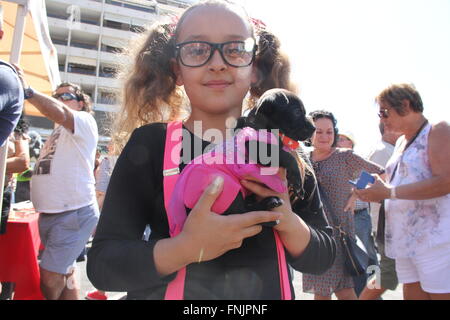 Tenerife, Spagna. 13 Mar, 2016. Un amante degli animali si unisce al Carnevale Internazionale di Los Cristianos con pet costume contest . Dodici candidati hanno superato sul palco principale delle vacanze. Sebastian Yorkshire accompagnato da Norely con la sorpresa fantasy ha vinto il primo premio. Il secondo premio è andato a il Chihuahua Golia e il suo Unicorn Carnavalero che hanno marciato con Carla e Laura. E terza per Willy e Mila fratelli, due shih tzu che era venuto da Star Wars accompagnato da Rosario e Raul. © Mercedes Menendez/RoverImages/Pacific Press/Alamy Live News Foto Stock