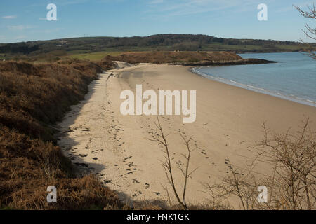 La spiaggia di yr Traeth Ora, Anglesey Foto Stock