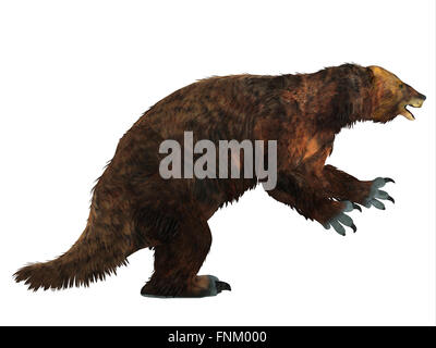 Megatherium era uno dei più grandi massa bradipi che vivevano in America Centrale e Sud America nel Pliocene al Pleistocene. Foto Stock