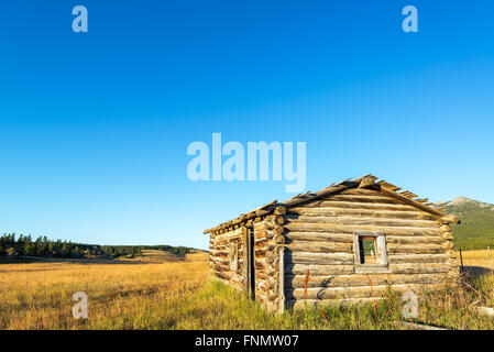 Abbandonato homestead abitacolo nella Bighorn Mountains in Wyoming Foto Stock