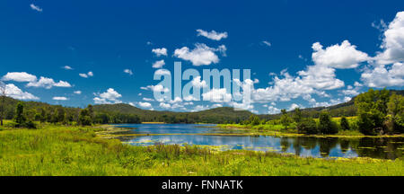Vista sulla diga di poona lago queensland Australia mostra gigli in erba, montagne e foreste Foto Stock