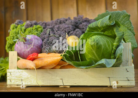 Freschi di mercato Organici ortaggi - verde Cavolo cappuccio appuntito, viola e verde cavolo riccio, patate, carote, viola il cavolo rapa su legno Foto Stock