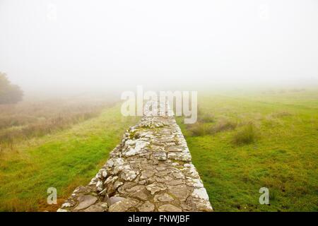 Il Vallo di Adriano. Nebbia avvolta. Birdoswald, Sito del Patrimonio Mondiale, Cumbria, Inghilterra, Regno Unito. Foto Stock