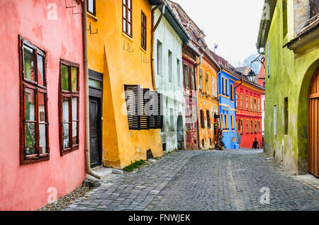 Sighisoara, Romania. Lastricato in pietra vecchie strade con case colorate in Sighisoara fortezza, Transilvania regione d'Europa Foto Stock