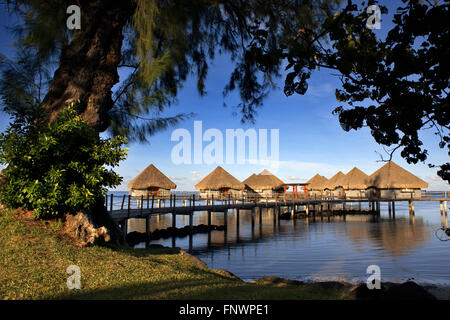 Tramonto al Meridien Hotel sull'isola di Tahiti, Polinesia Francese Tahiti Nui, Isole della Società, Polinesia francese, Sud Pacifico Foto Stock