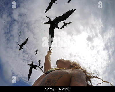 Alimentazione di albatros. I turisti in una escursione di snorkeling a vista con punta nera squali e sting rays in acque poco profonde del bor Foto Stock