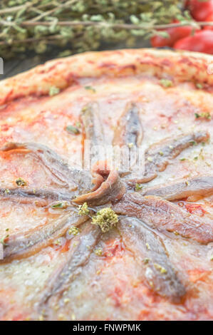 Acciughe e pomodoro pizza closeup Foto Stock