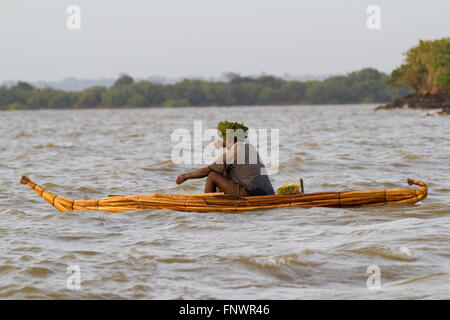 Un pescatore pagaie sua canoa sul Lago Tana in Bahir Dah in Etiopia. Il lago Tana è la sorgente del Nilo Azzurro. Foto Stock