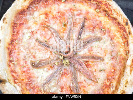 Acciughe e pomodoro pizza closeup Foto Stock