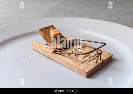 Un mousetrap con un pezzo di formaggio su una piastra Foto Stock