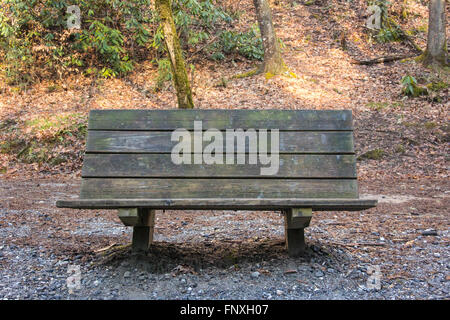 Panca in legno lungo il sentiero vicino a Tom ramo cade nel Parco Nazionale di Great Smoky Mountains Foto Stock