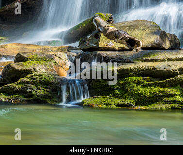 Flussi di acqua verso il basso moss rocce coperte in Deep Creek nel Parco Nazionale di Great Smoky Mountains Foto Stock