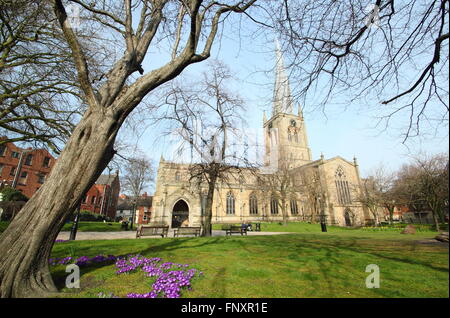 Crochi bloom sotto la guglia ritorto di Santa Maria e Chiesa di Tutti i Santi di Chesterfield Town Center, DERBYSHIRE REGNO UNITO Inghilterra Foto Stock