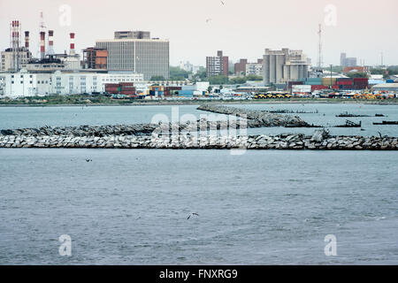 Vista del porto di Montevideo, Uruguay Foto Stock