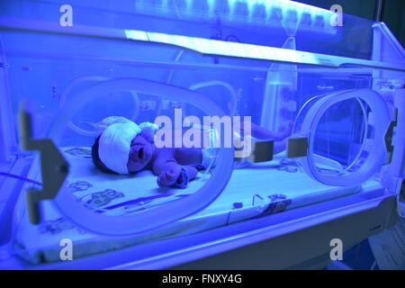 I neonati con ittero neonatale e bilirubina elevata iperbilirubinemia blu sotto la luce UV per phototheraphy in incubatore. Foto Stock