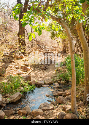 Vista lungo la Moremi Gorge walking trail in Botswana, Africa Foto Stock