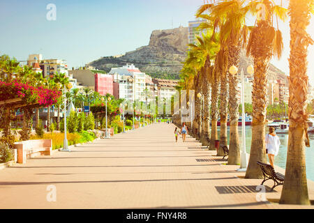 ALICANTE, Spagna - 9 Settembre 2014: prospettiva Av del Almirante Julio Guillen tato con palme e vista sul castello di Santa Barbara Foto Stock