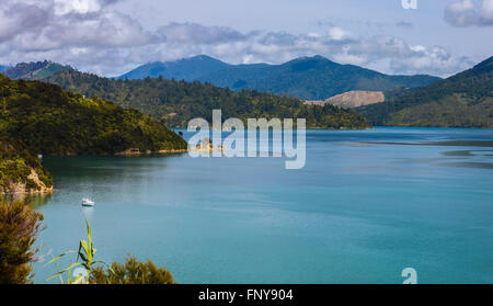 Marlborough Sounds, Te Mahia, Isola del Sud, Nuova Zelanda Foto Stock