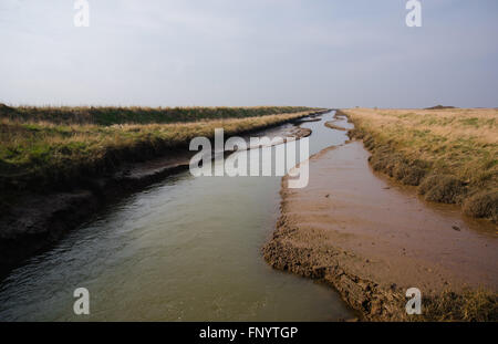 Pye's Hall Sluice, sette città Eau, Donna Nook Riserva Naturale Nazionale, Lincolnshire, Regno Unito. Foto Stock