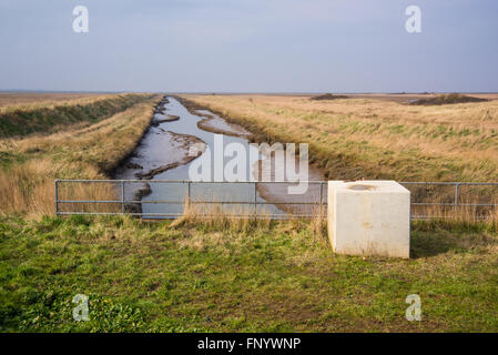 Pye's Hall Sluice, sette città Eau, Donna Nook Riserva Naturale Nazionale, Lincolnshire, Regno Unito. Foto Stock