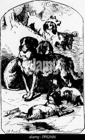 Il cane (microformati) - Da Dinks, Mayhew e Hutchinson; compilato, schematizzati, edito e illustrato da Frank Forester (ossia William Henry Herbert) (1873) Foto Stock